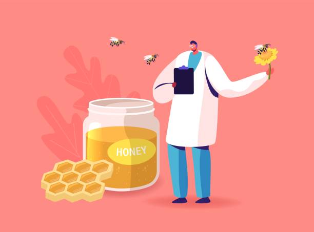 Doctor Character Hold Flower with Bee Flying around Glass Jar with Honey and Honeycombs with Bees Flying around Doctor Character Hold Flower with Bee Flying around Glass Jar with Honey and Honeycombs with Bees Flying around. Apiary Healthy Production. Organic Natural Sweet Food. Cartoon Vector Illustration bee costume stock illustrations