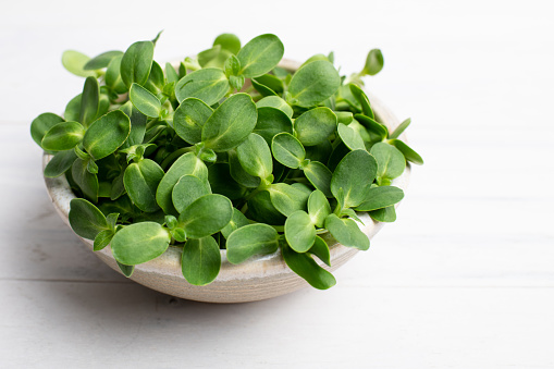 Organic sunflower Microgreens in a rustic bowl on white background. Copyspace.