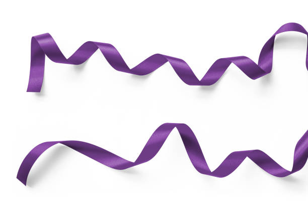 Purple satin ribbon mulberry lavender bow scroll set isolated on white background with clipping path for holiday and wedding card confetti design decoration