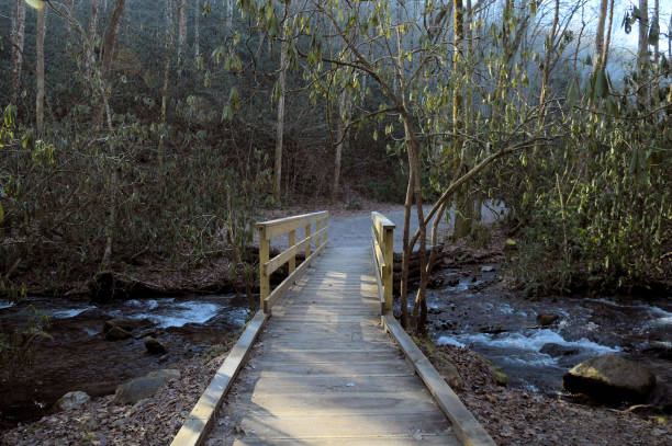 istock The trail to Mingus Mill 1294202699