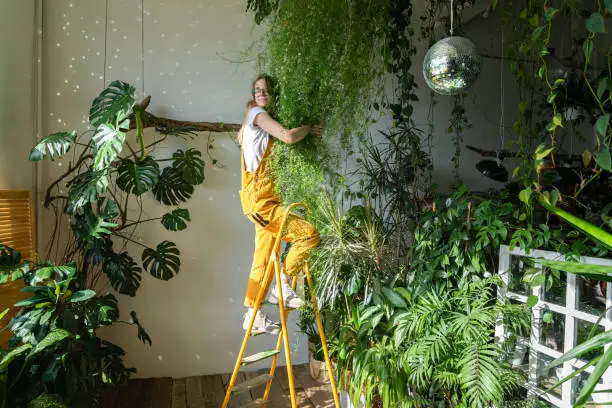 Joyful young woman gardener in orange overalls standing on a stepladder, embracing lush asparagus fern houseplant in her flower store. Greenery at home. Love of plants. Indoor cozy garden.