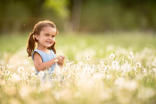 A super cute mixed race girl smiles at the camera as she stands in a field full of dandelions.