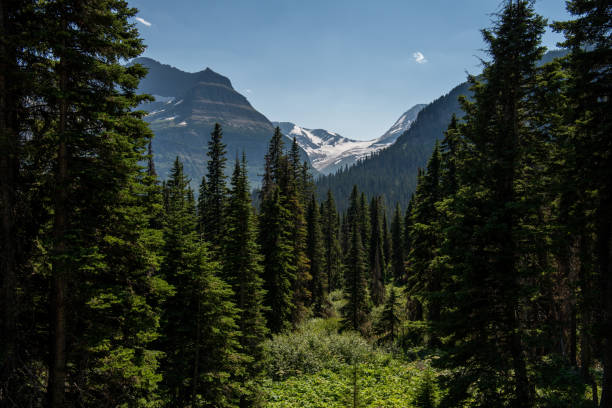 parque nacional glaciar - montana sunrise mountain mountain range - fotografias e filmes do acervo
