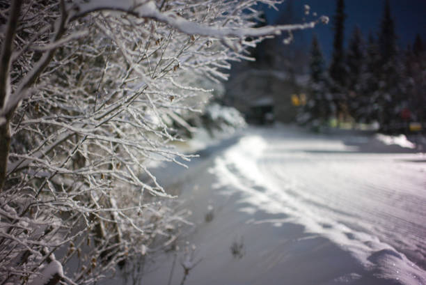 istock Snowy suburban road at night 1294215443