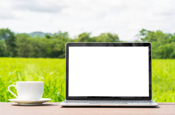 laptop and cofree cup on wood plank agent grass field