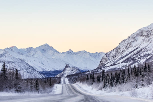 istock Traveling Along Alaskan Highway in Winter 1294225414