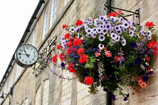istock Flower Basket in Bradford-On-Avon 1294225543