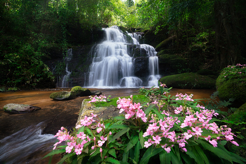 Deep forest waterfall in Thailand