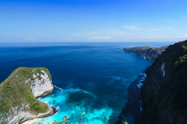 istock Aerial view of Kelingking beach (Manta bay) 1294227916