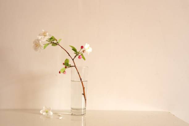 Apple blossoms in glass, petals scattered on the table, copy space