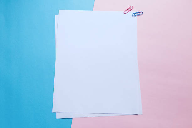 istock Two white blank papers and clips on pink and blue background 1294240137