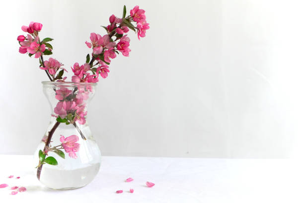 A modern Easter bouquet with tulips and twigs stands in a bright environment on a white table in a glass vase