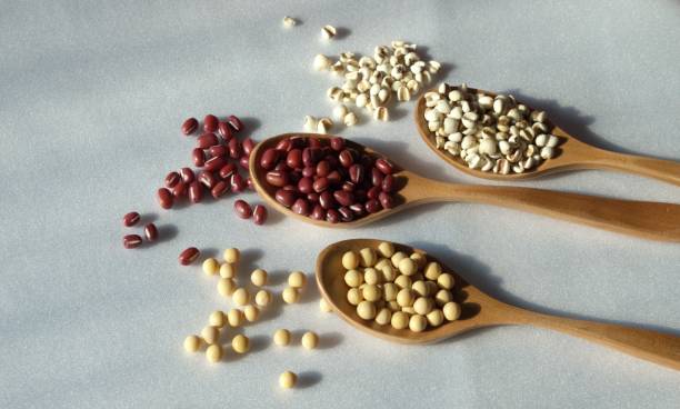 adzuki beans, soybeans and job's tears in wooden spoons. organic healthy food on white background - adzuki bean imagens e fotografias de stock