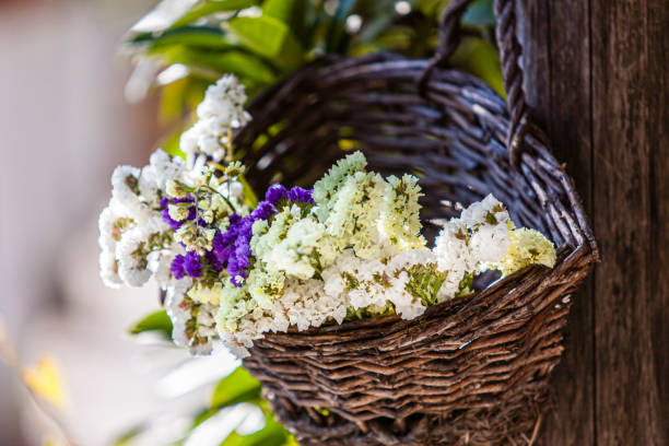 Statice flowers, also known as sea lavender (Limonium sinuatum), arranged in a basket