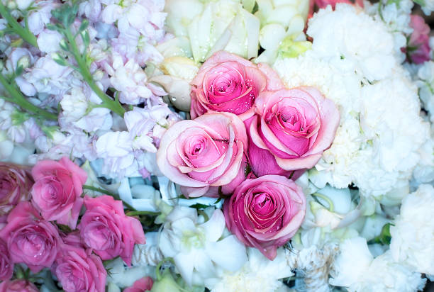 istock beautiful flowers wall background with amazing roses 1294241800