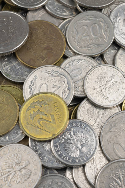 istock Polish coin macro photo. textura or background 1294242448