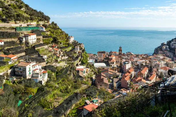 Terraces of lemon orchards overlooking Minori on the Amalfi coast of Italy