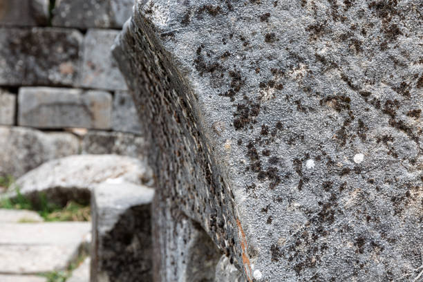 istock Old stone ruins and trees in the mountain 1294242799