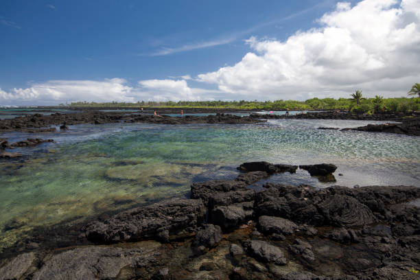 piscine di marea kapoho. big island - kapoho foto e immagini stock