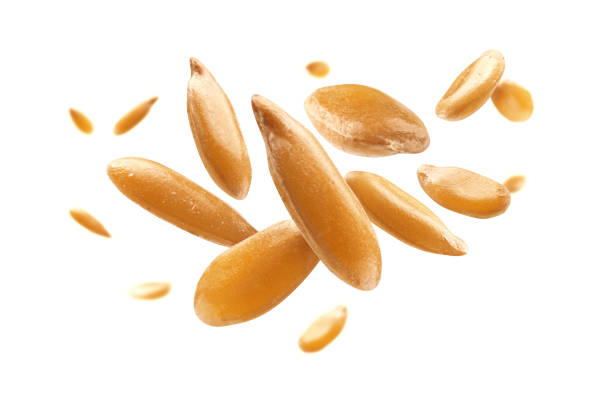 istock Flax seeds are levitated on a white background 1294245179
