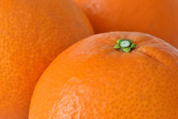 istock Close up of mandarin orange 1294245206