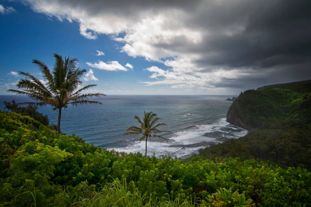 istock Pololu valley. Big Island Hawaii 1294245878