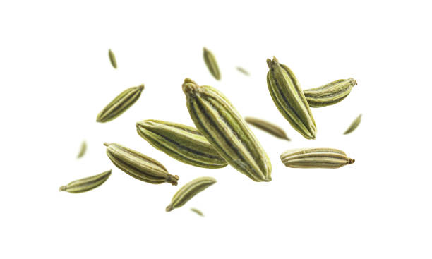 i semi di finocchio levitano su uno sfondo bianco - ingredient fennel food dry foto e immagini stock
