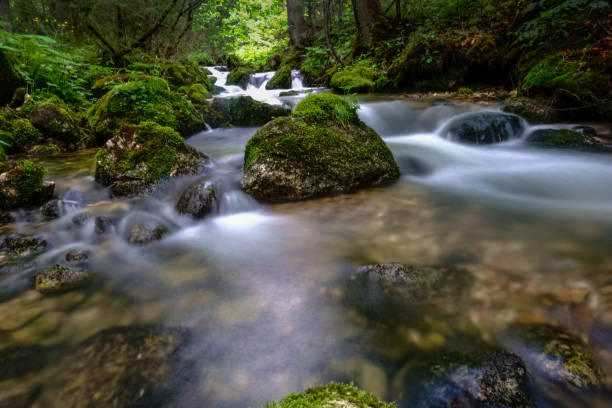 istock wonderful soft flowing water from a brook in the nature 1294246852