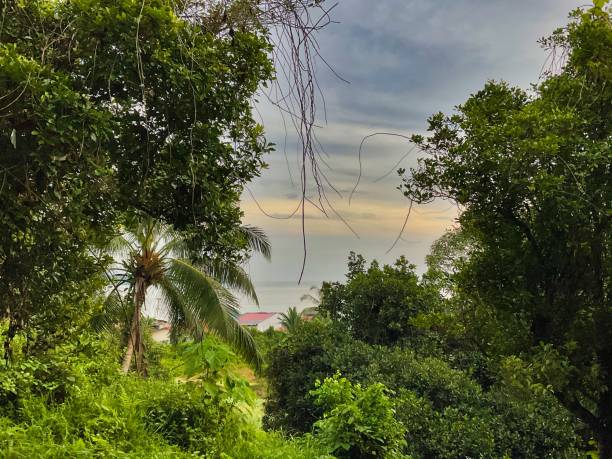 istock Mentawai Island West Sumatra - Indonesia 1294249653