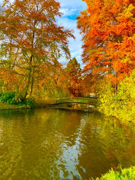 istock Autumn in Belgium 1294256578