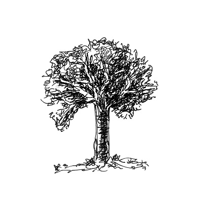 Hand drawn old tree isolated on white background.Sketch, vintage illustration.