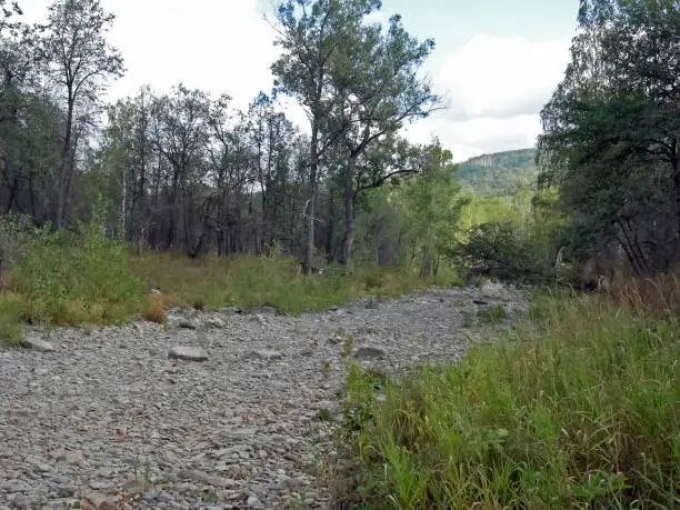 The Beloretsky tract. Nature is in the way of the Beloretsky tract. Roads and landscape.