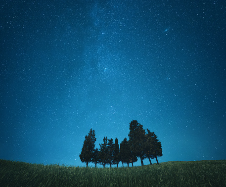 Wheat Field with cypress trees under the starry sky (Val D'orcia, Tuscany).