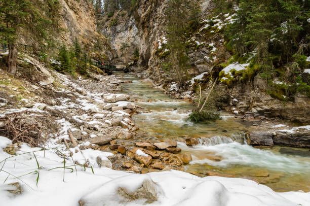 johnston canyon trail in banff national park , alberta, canada - lower falls imagens e fotografias de stock