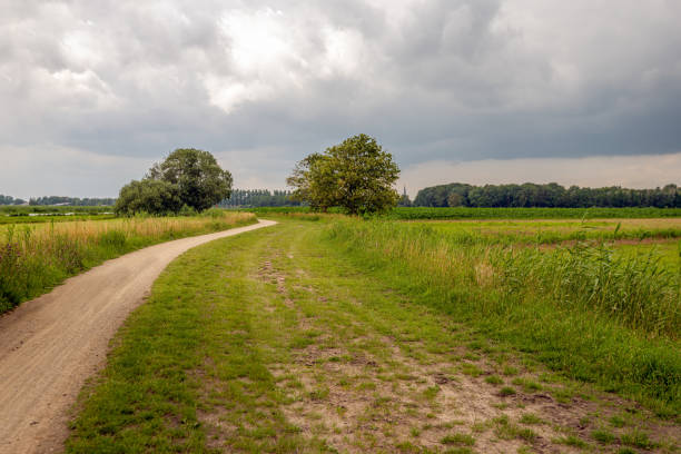 chemin sinueux dans un paysage hollandais de polder - road long dirt footpath photos et images de collection