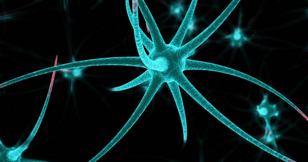 istock Neon neuron cells on the black background. 3D illustration 1294265423