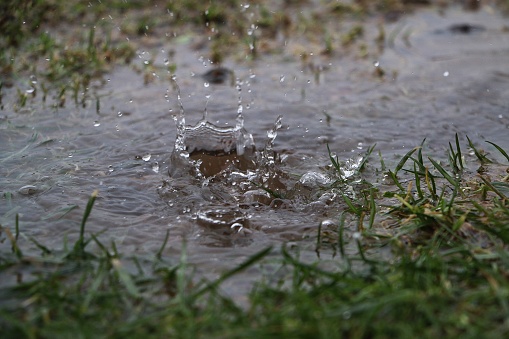 hard rain is falling in a puddle in the garden