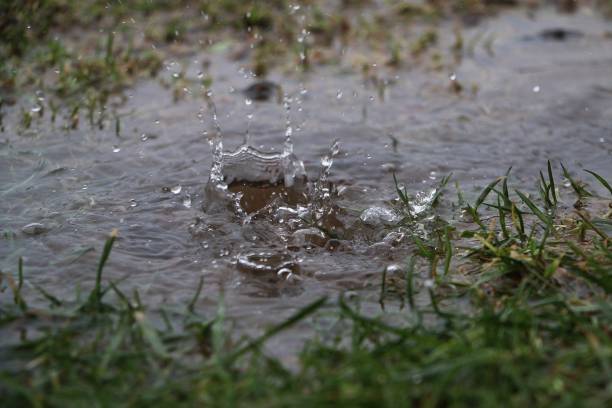 deszcz spada w kałuży w ogrodzie - sprinkler park summer spray zdjęcia i obrazy z banku zdjęć