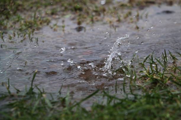 istock rain is falling in a puddle in the garden 1294271555