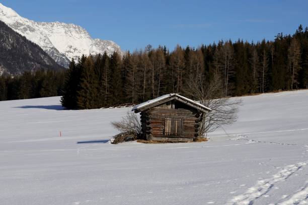istock Hay Barn, Hut, Winter Scenery 1294273390
