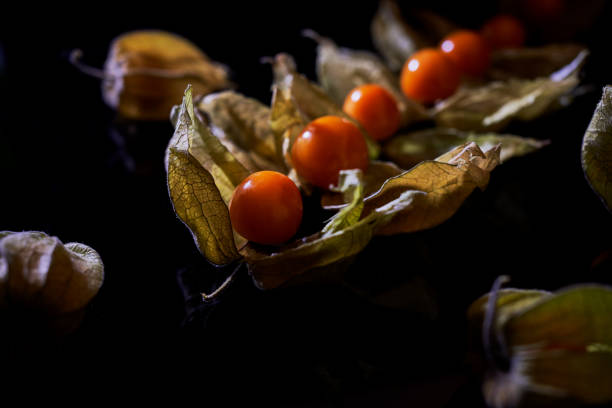 The plant known as aguaymanto, uchuva, uvilla or ushun (Physalis peruvian), also known as golden berry is a herbaceous plant belonging to the family Solanaceae,so it has characteristics similar to those of potato and tomato despite its shrub growth.