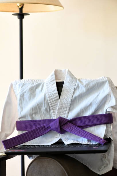 istock Virtual Martial Arts Practice from Home 1294276505