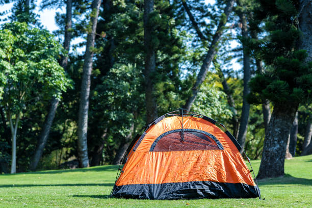 istock Tents on the outdoor lawn 1294279801
