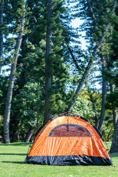 istock Tents on the lawn 1294279830