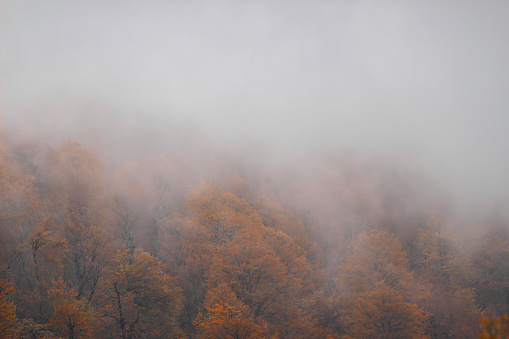 Magnificent colorful Fall day in Kartepe Kocaeli, Turkey