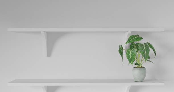 istock 3d render Front view of empty shelf on white table showcase and wall background with natural window light. Display of backdrop shelves for showing minimal concept. tree plant, glass and coffee cup. 1294282219