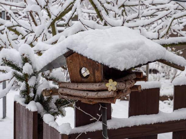 istock Bird house in the winter garden 1294282973