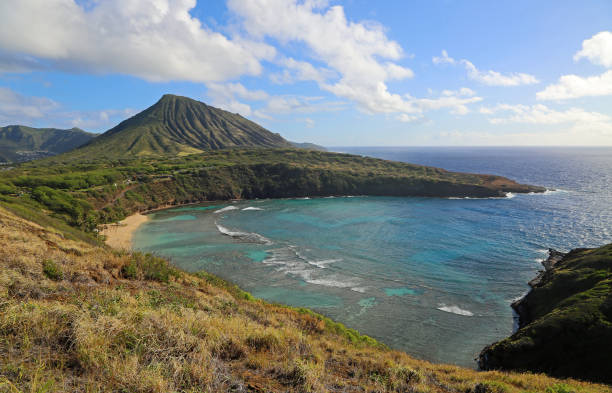 istock Koko crater and Hanauma Bay 1294284615