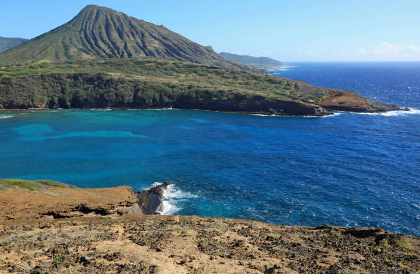 istock Koko and Hanauma 1294284734