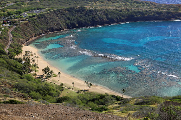 istock Hanauma Bay beach 1294284757